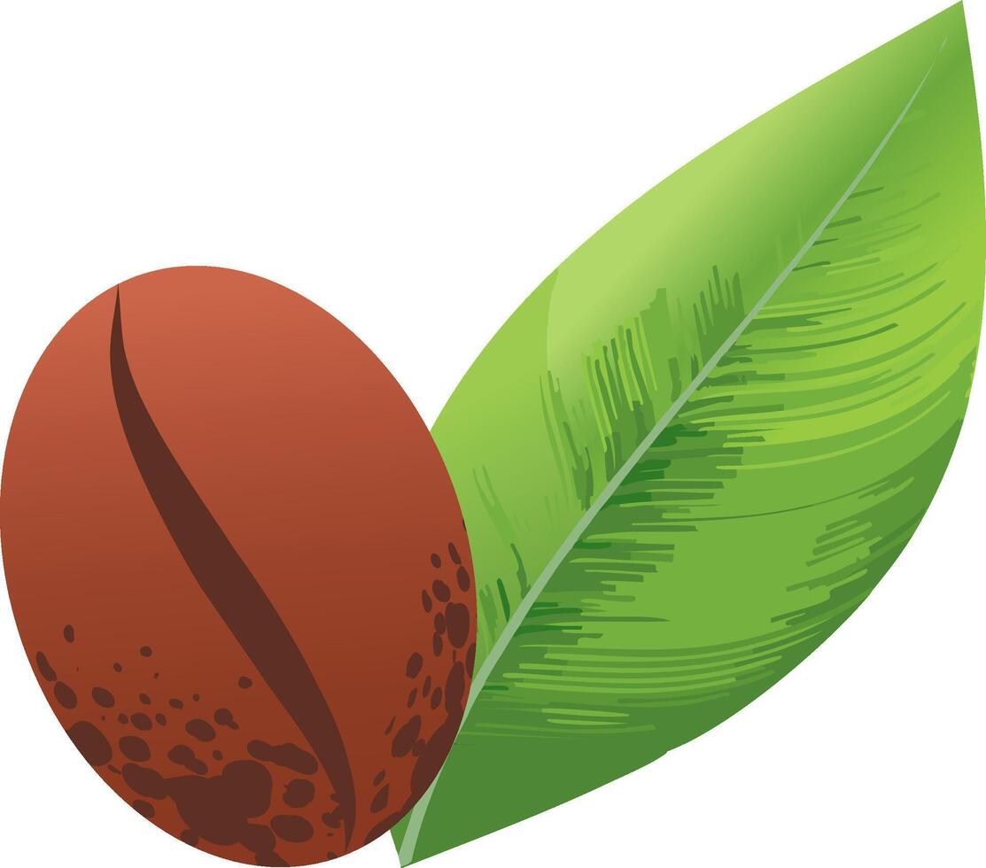 A coffee bean next to one green leaf. vector