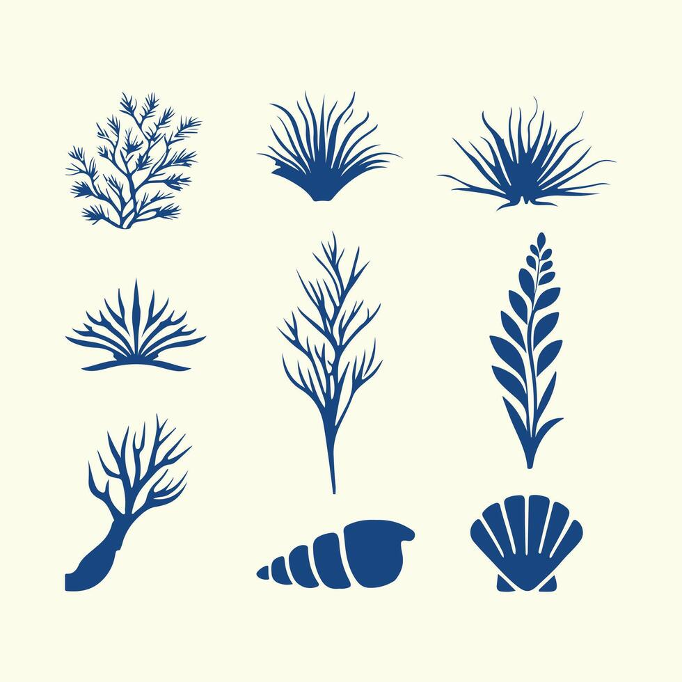 Collection of underwater ocean marine coastal plants and seashells, illustration vector