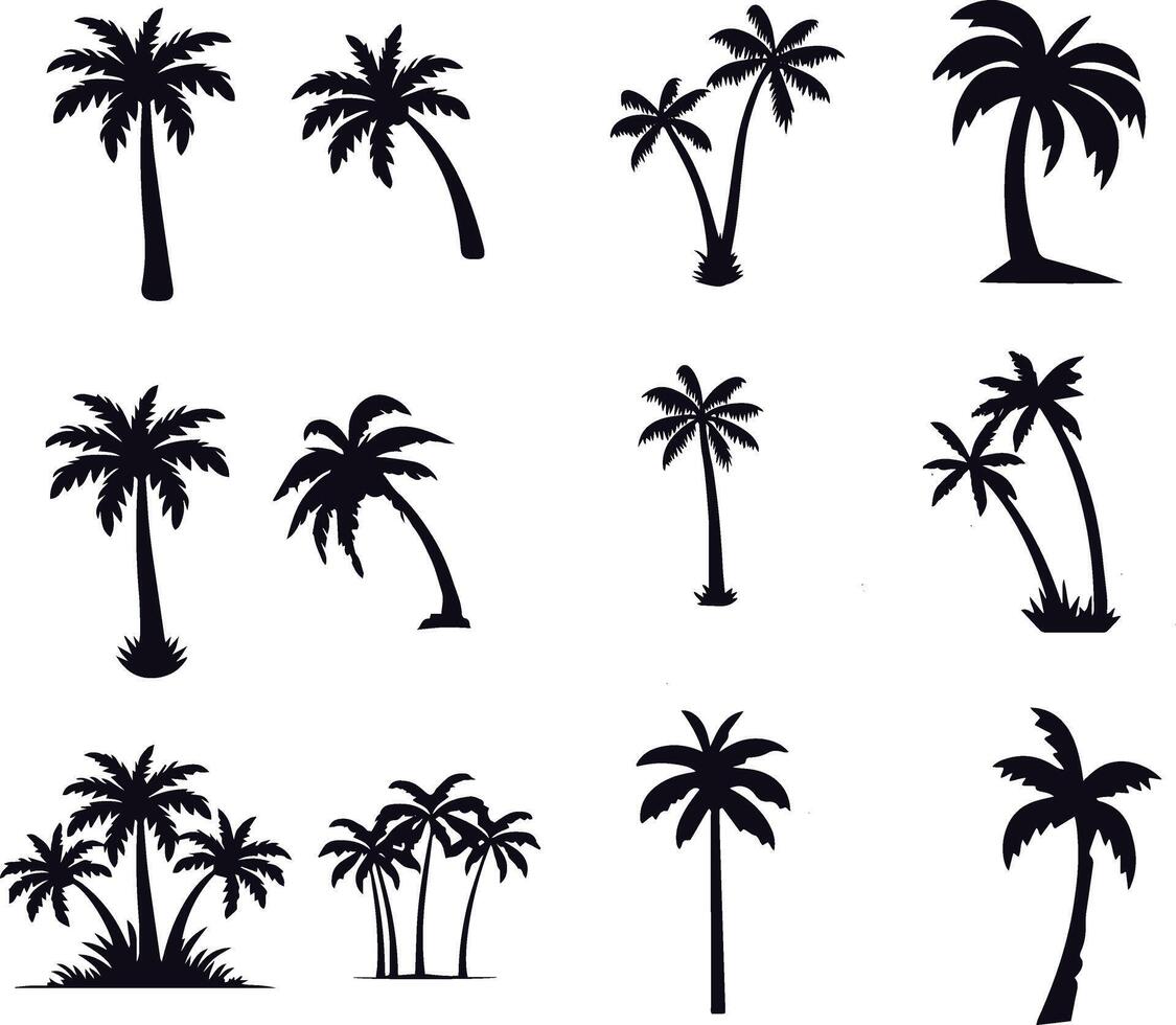 simple Silhouette black palm design vector