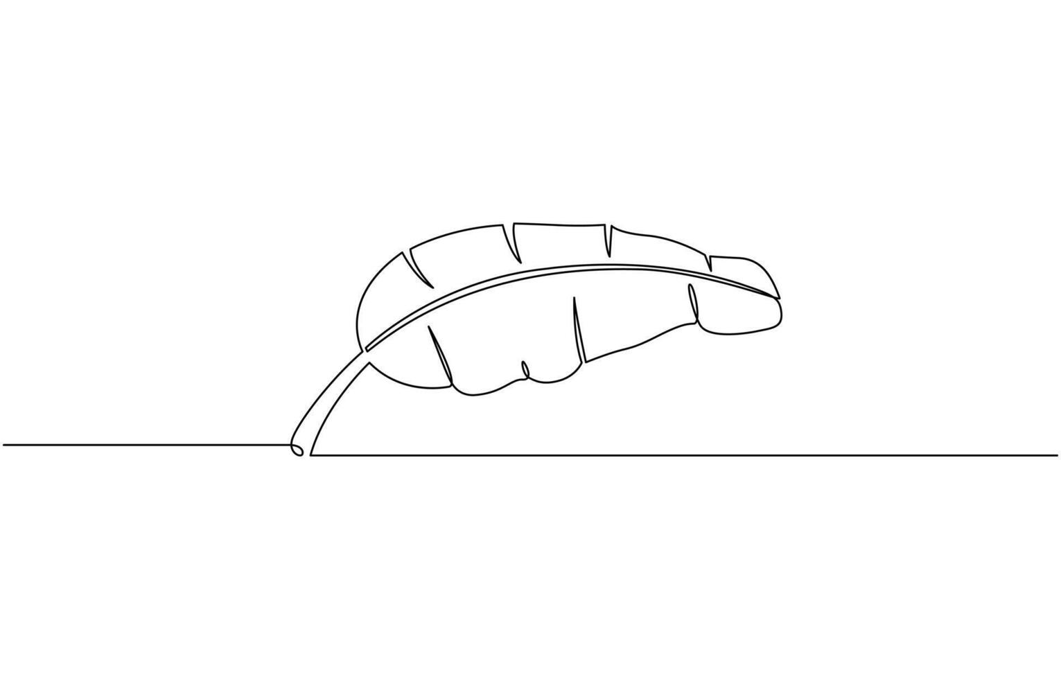 One continuous line drawing of banana tree. Banana tree line art drawing, Banana Leaf Continuous Line Drawing, Palm leaf in one continuous line drawing. One line poster outline. vector
