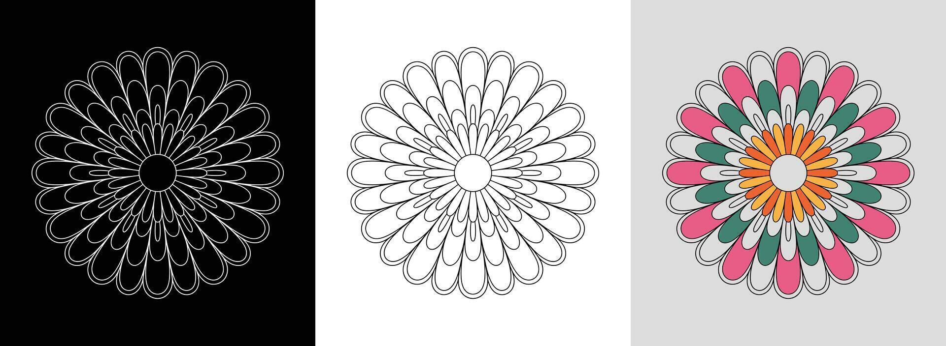 Chrysanthemum Petal Mandala vector