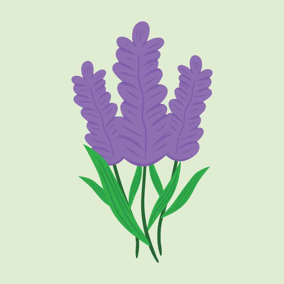A cluster of vibrant purple lavender flowers with green leaves vector