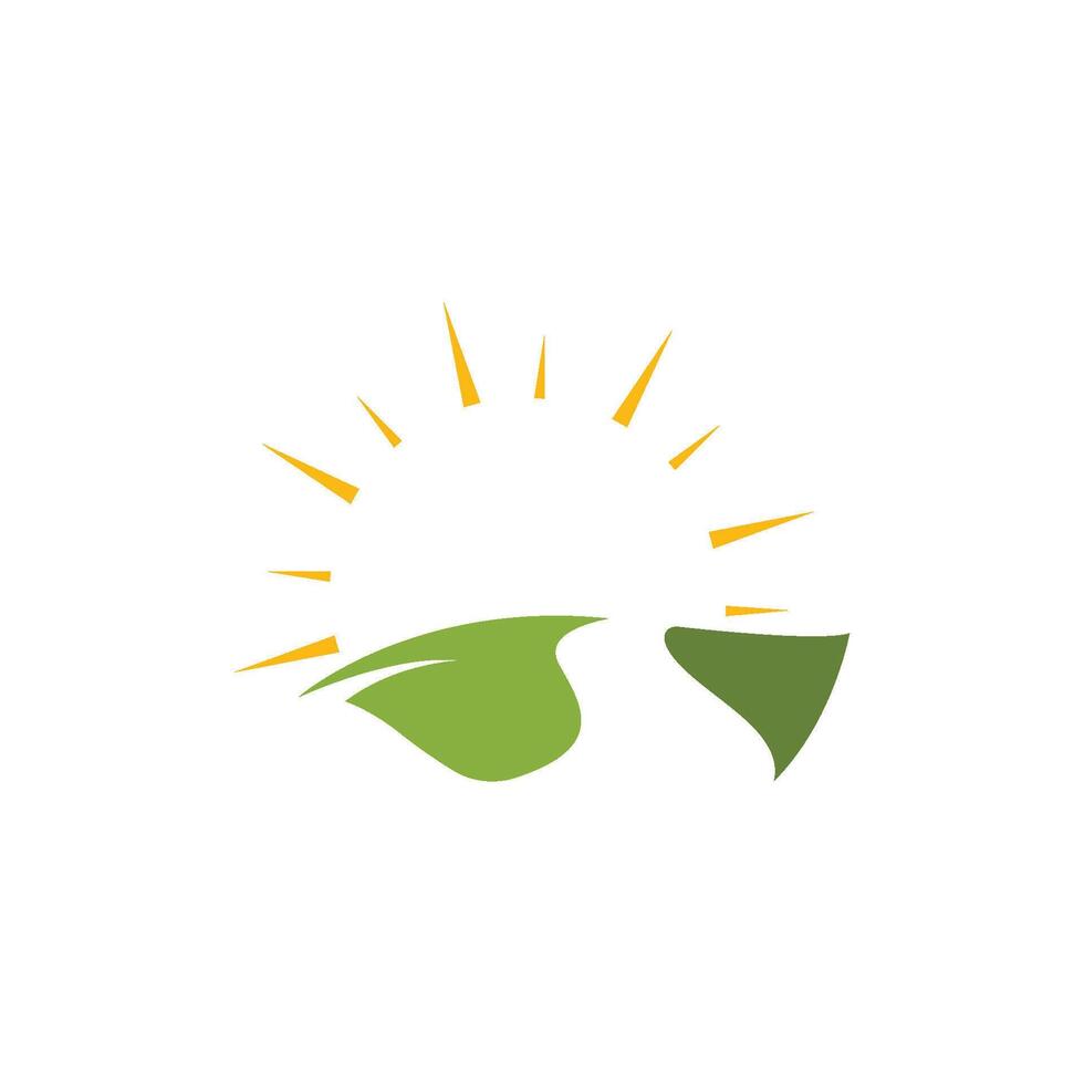 sun logo design template vector