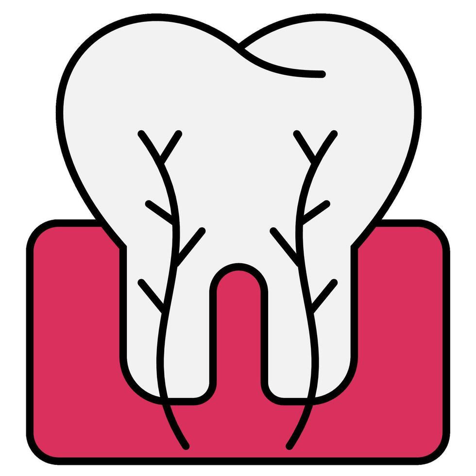 Tooth cross section icon vector