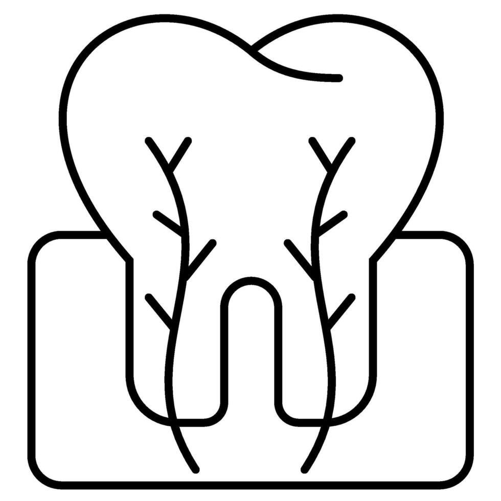 Tooth cross section outline icon vector