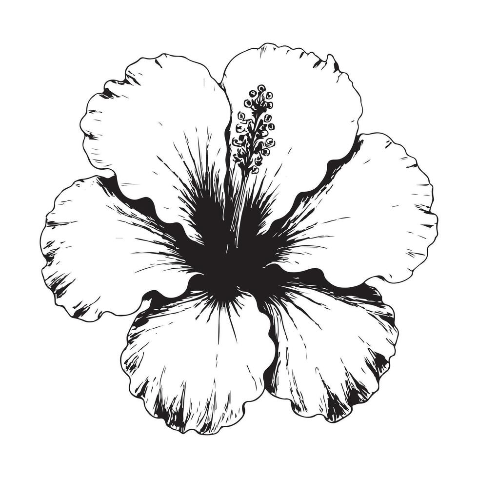 Black and white floral illustration with vintage sketch style elements vector