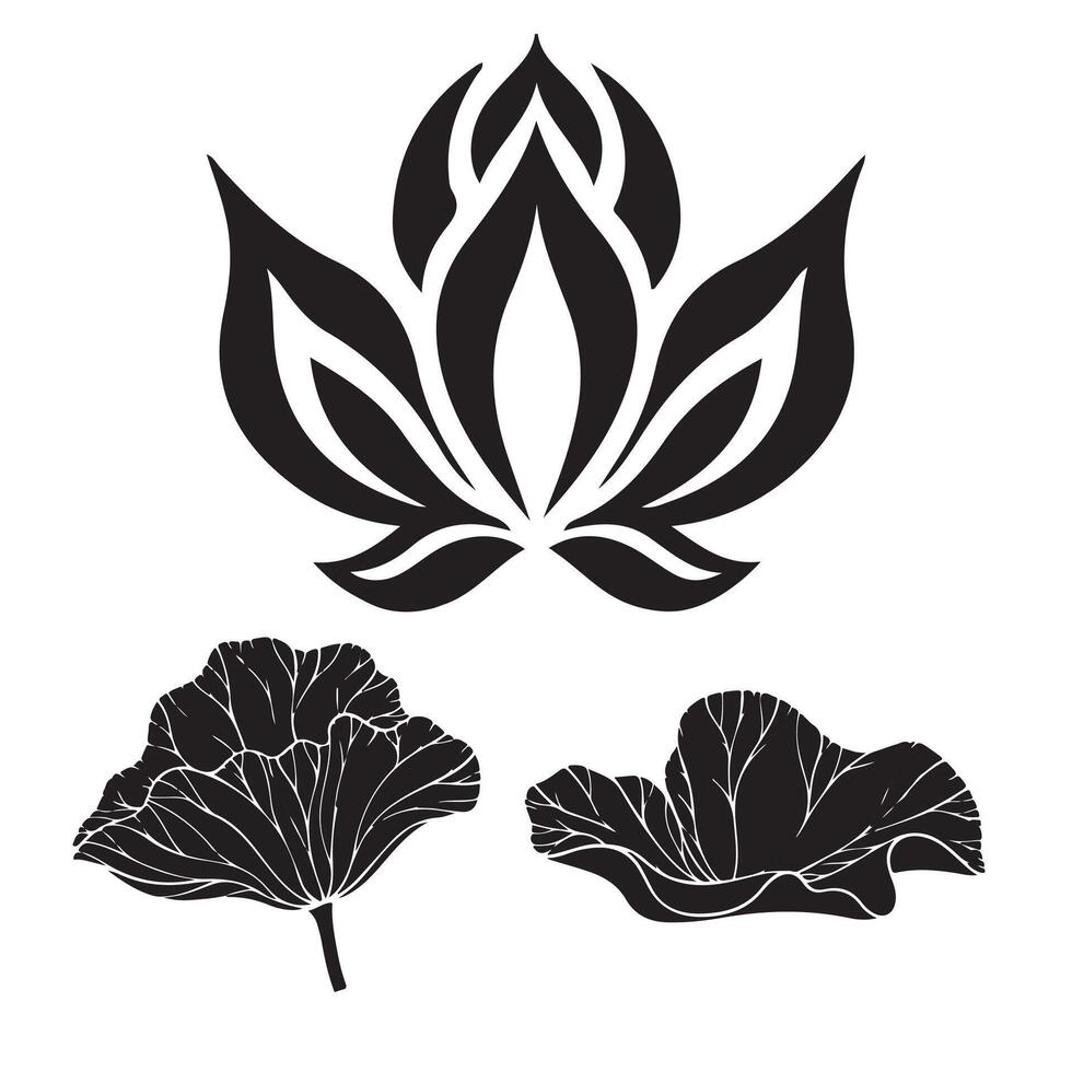 Set of decorative leaf elements with nature-inspired design in various shapes and styles vector