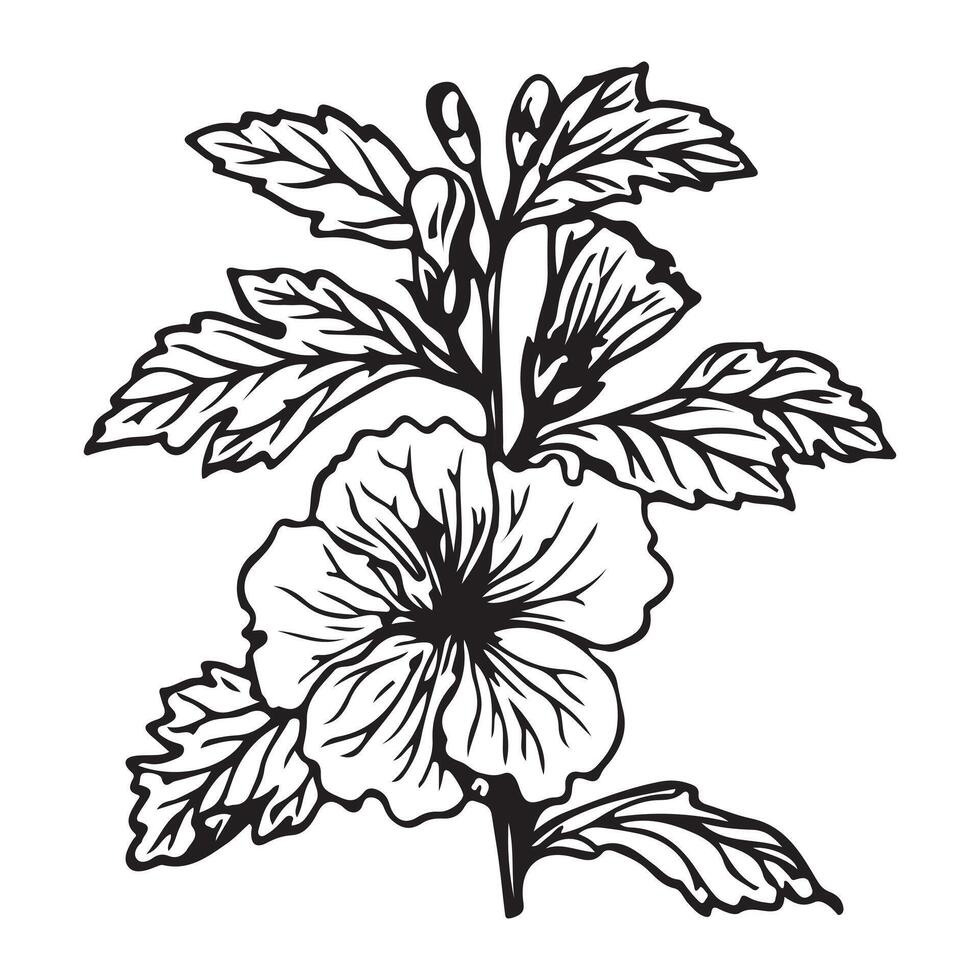 Hand drawn sketch flower illustration with vintage style design vector