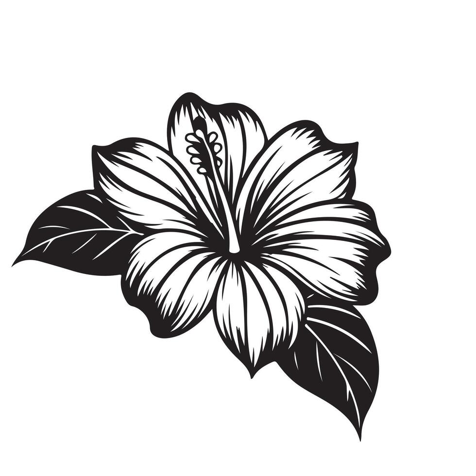 Black and white lily flower illustration with floral elements and decorative design vector