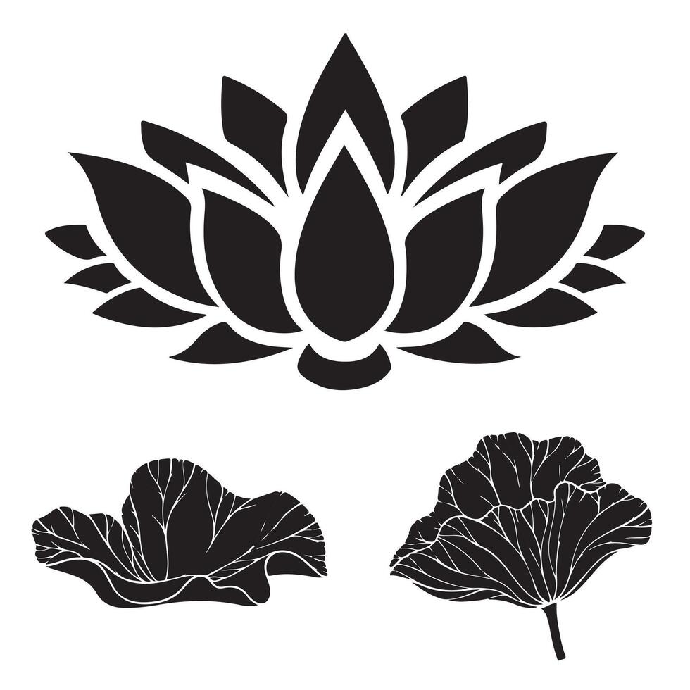Set of black and green leaf illustrations in various natural styles and decorative designs vector