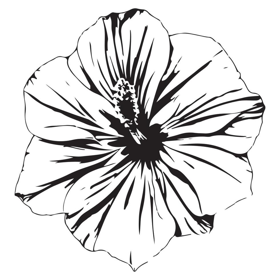 A black and white drawing of a flower vector