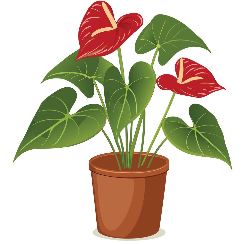 Vibrant Red Anthurium Plant Thriving in a Brown Pot, a Cheerful Indoor Houseplant with Lush Green Foliage vector