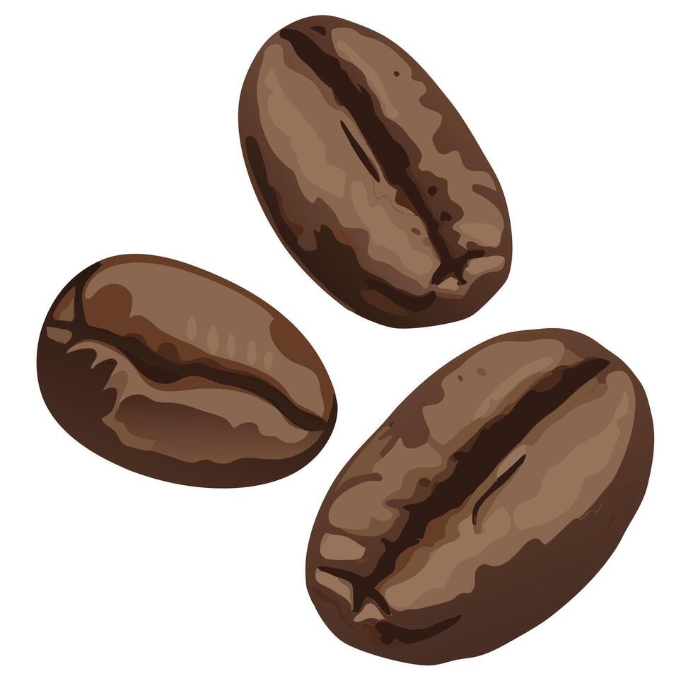 Aromatic Roasted Coffee Beans Falling, Rich Brown Colors, Isolated on White Background, Delicious Beverage Mood vector