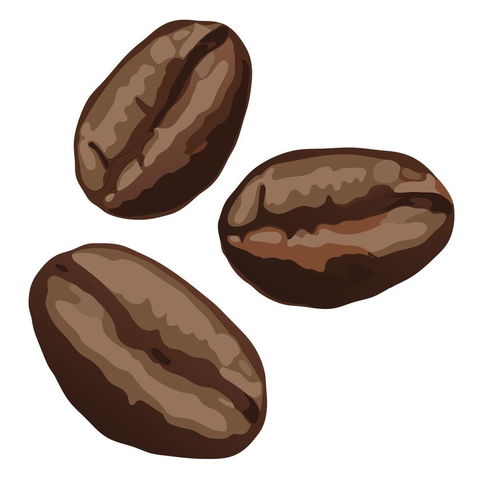 Three Rich Brown Roasted Coffee Beans Falling on White Background, Aromatic and Tempting Image - Professional digital artwork with vibrant colors and detailed composition vector