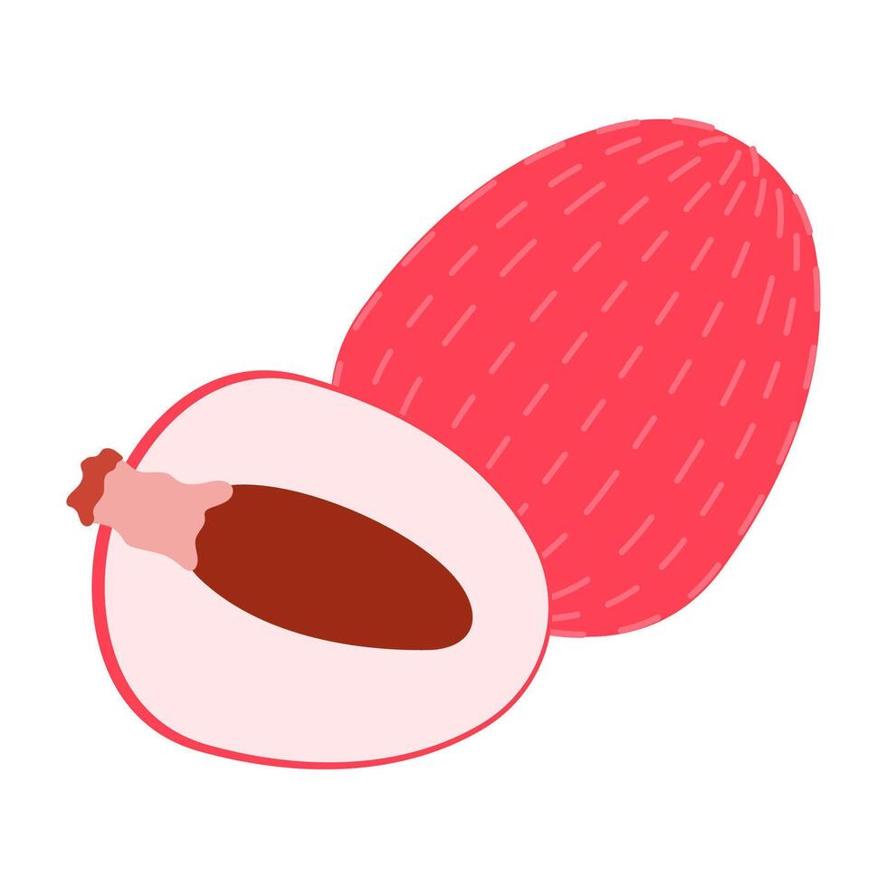 Colorful flat icon of juicy fruits, and exotic tropical produce. vector