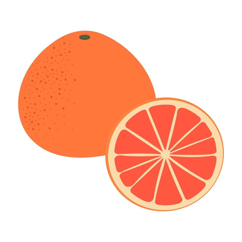 Colorful flat icons of juicy fruits, and exotic tropical produce. vector
