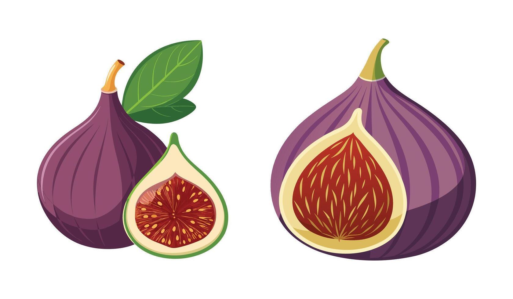 Fresh Fig Fruit with Leaves Detailed Color Illustration Perfect for Botanical Art and Natural Food Designs vector