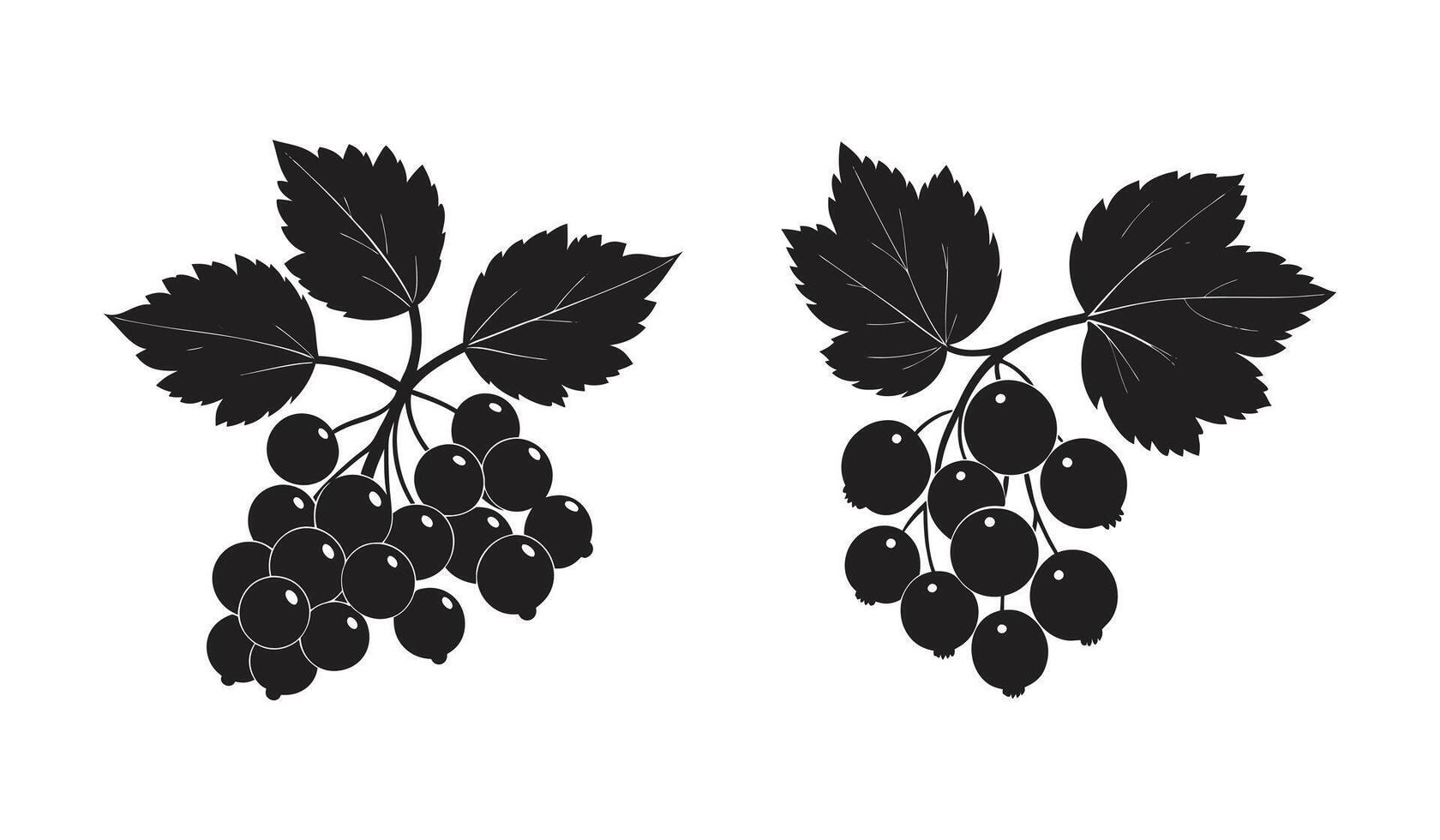 Currant Plant with Leaves and Branches Unique Silhouette Illustration for Natural Decorative Botanical Designs vector