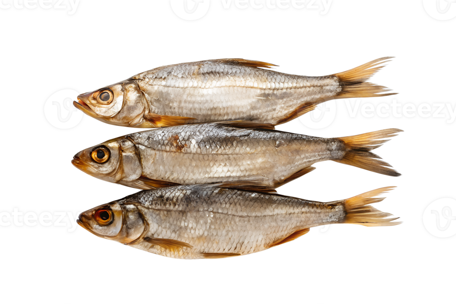 A stack of three dried roach fish against a studio shot png