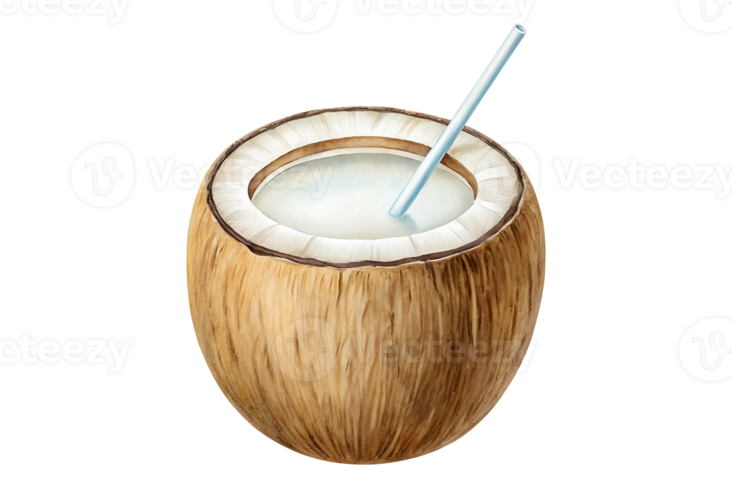 Coconut water in shell with straw digital artwork tropical beverage png