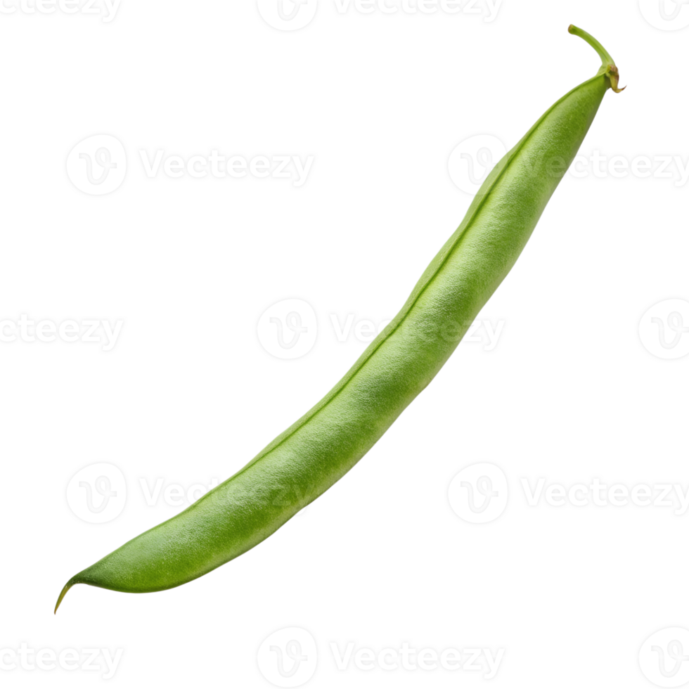Single, Vibrant Green Bean Close Up a Neutral png
