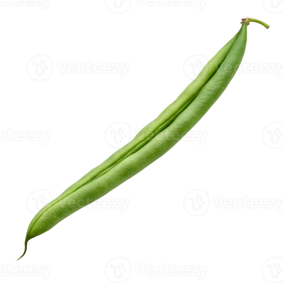 A closeup shot of a single green bean, showcasing its freshness png