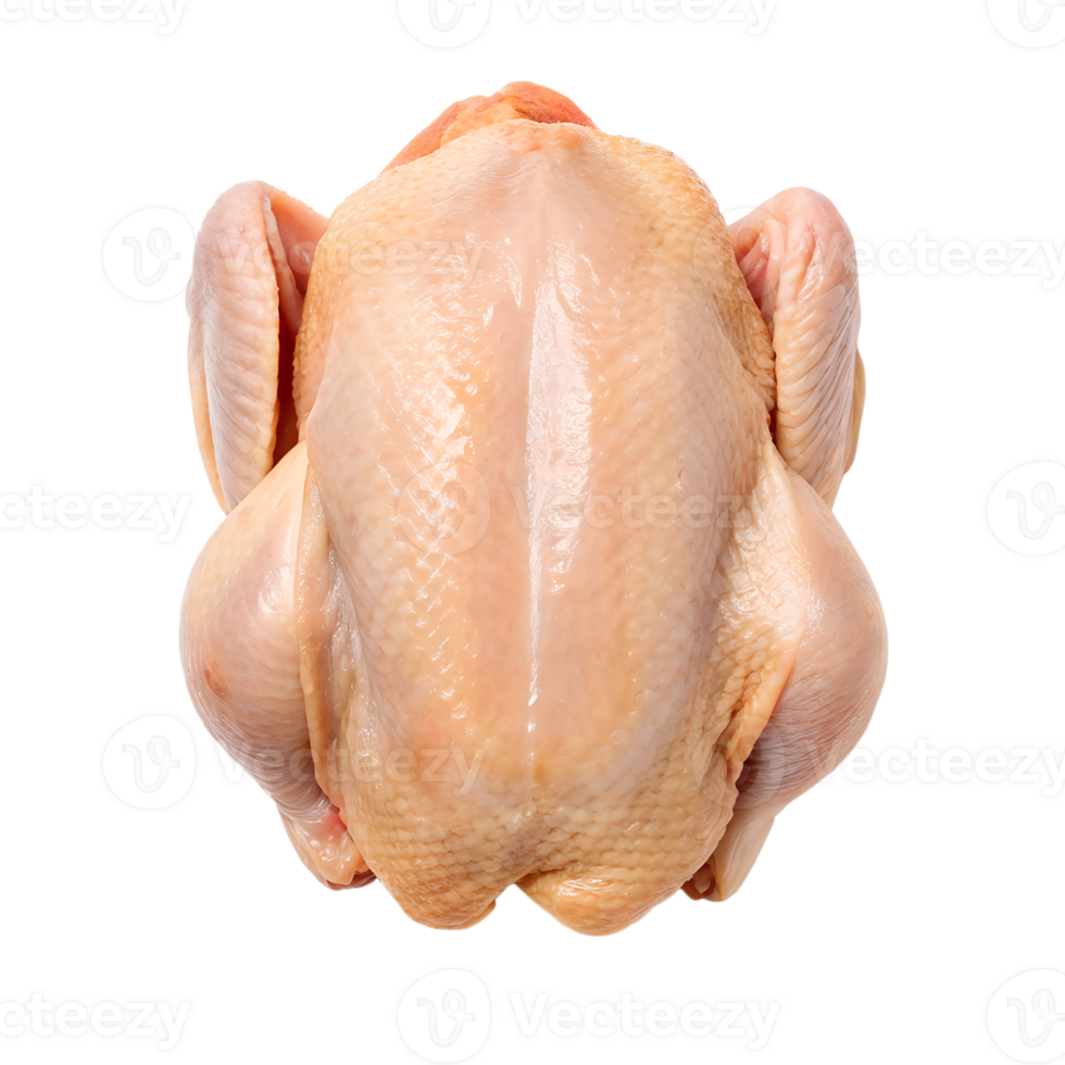 A whole raw chicken viewed from above showing skin texture and detail transparent background png