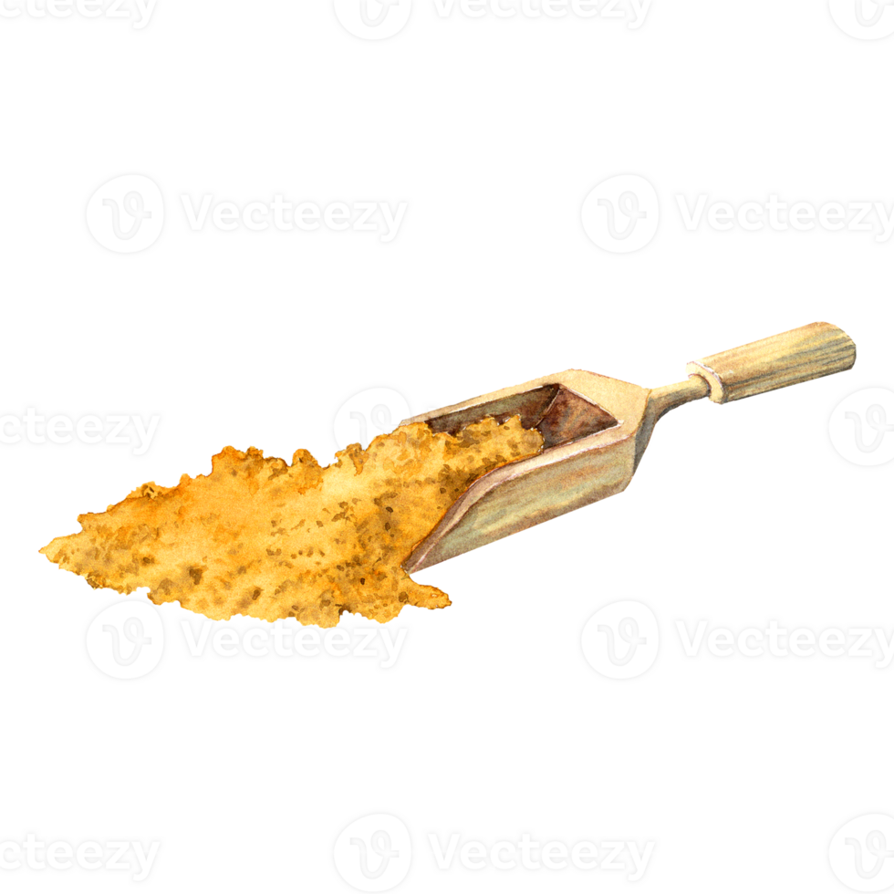watercolor spatula with milled ginger for the needs of the East kitchen and cooking png