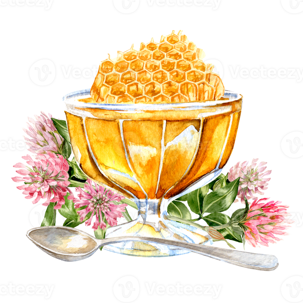 hand-painted honeycombs in a vase with honey, a teaspoon and clover flowers nearby png