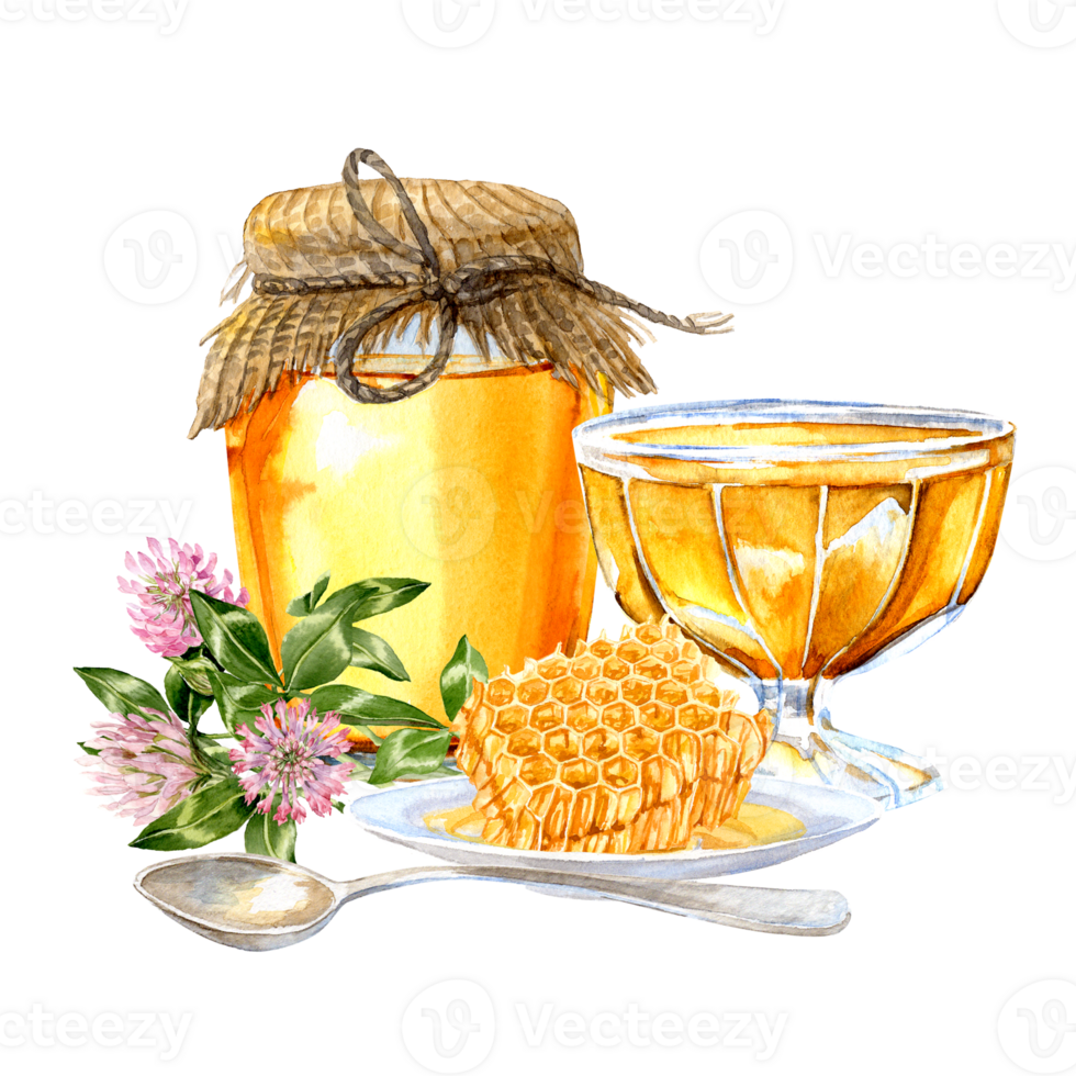 honey and clover is a hand-painted watercolor composition png