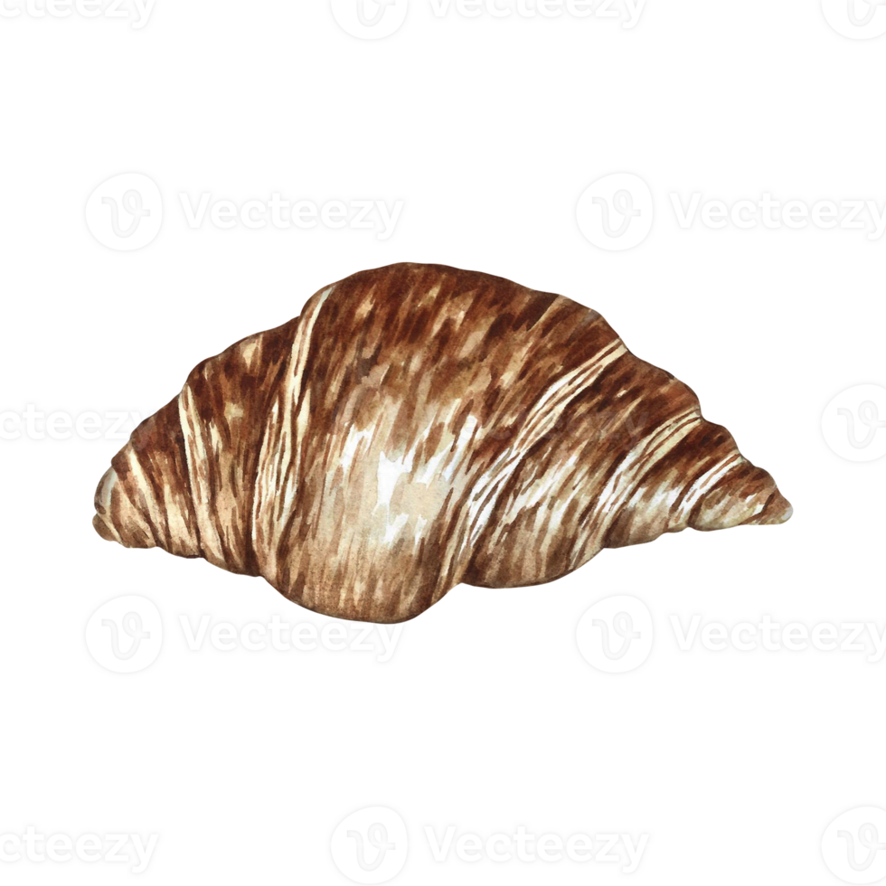 Croissant. French pastry. Hand-drawn watercolor illustration. Isolate. Color image. Crescent-shaped puff pastry. For menu design, recipes, labels, packaging, and more. png