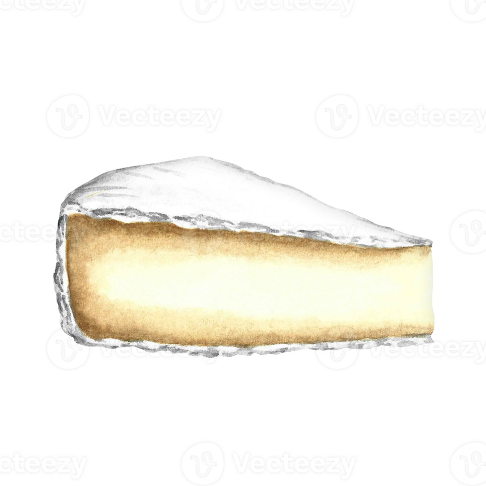 A piece of Camembert cheese. Hand-drawn watercolor illustration. Color image. Isolate. For packaging and labels. For banners and posters. For restaurant menus, bars, and more. png