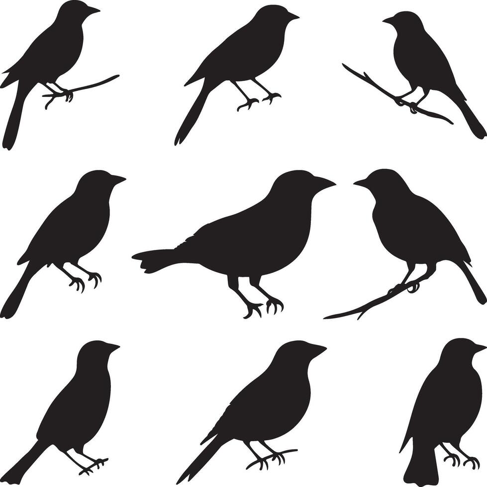 Simple Black Silhouette of Various Birds vector