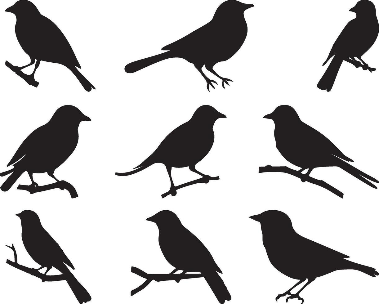 Nine Silhouettes of Birds on Branches vector