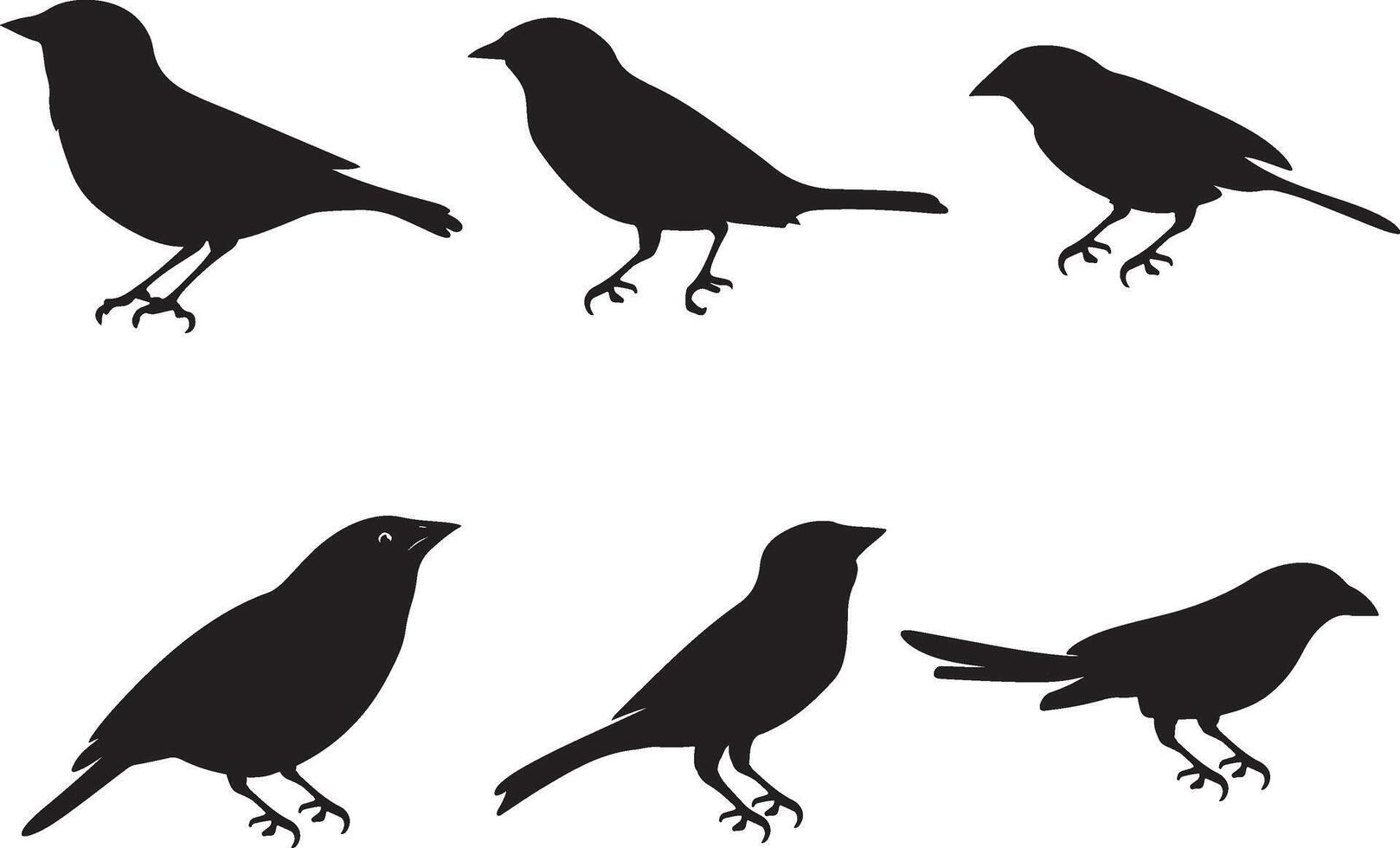 Simple Black Silhouette Birds in Various Positions vector