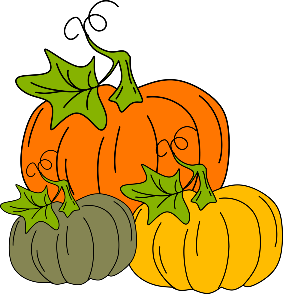 illustration of pumpkin design png