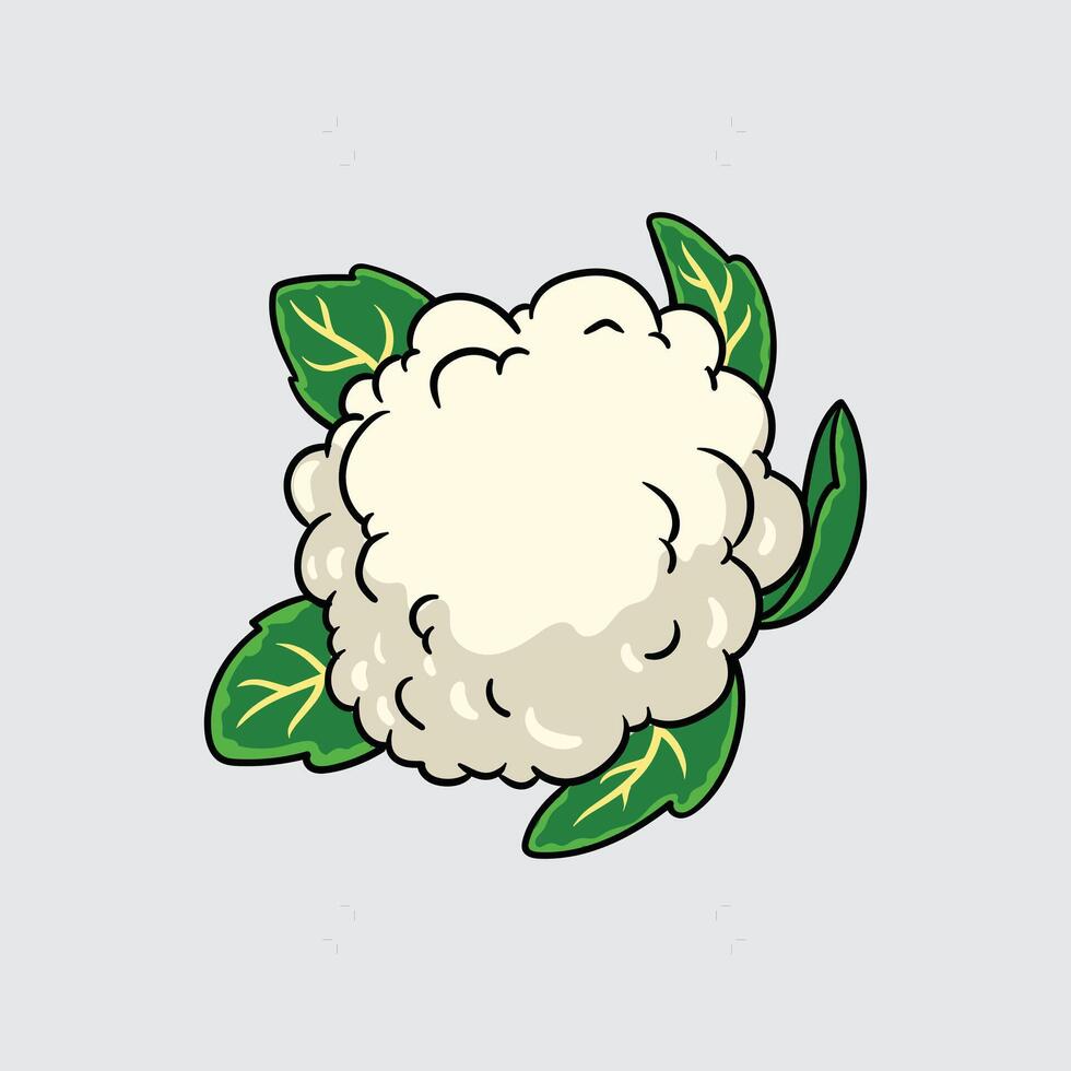 Cauliflower vegetable Simple isolated cartoon illustration with a light background vector