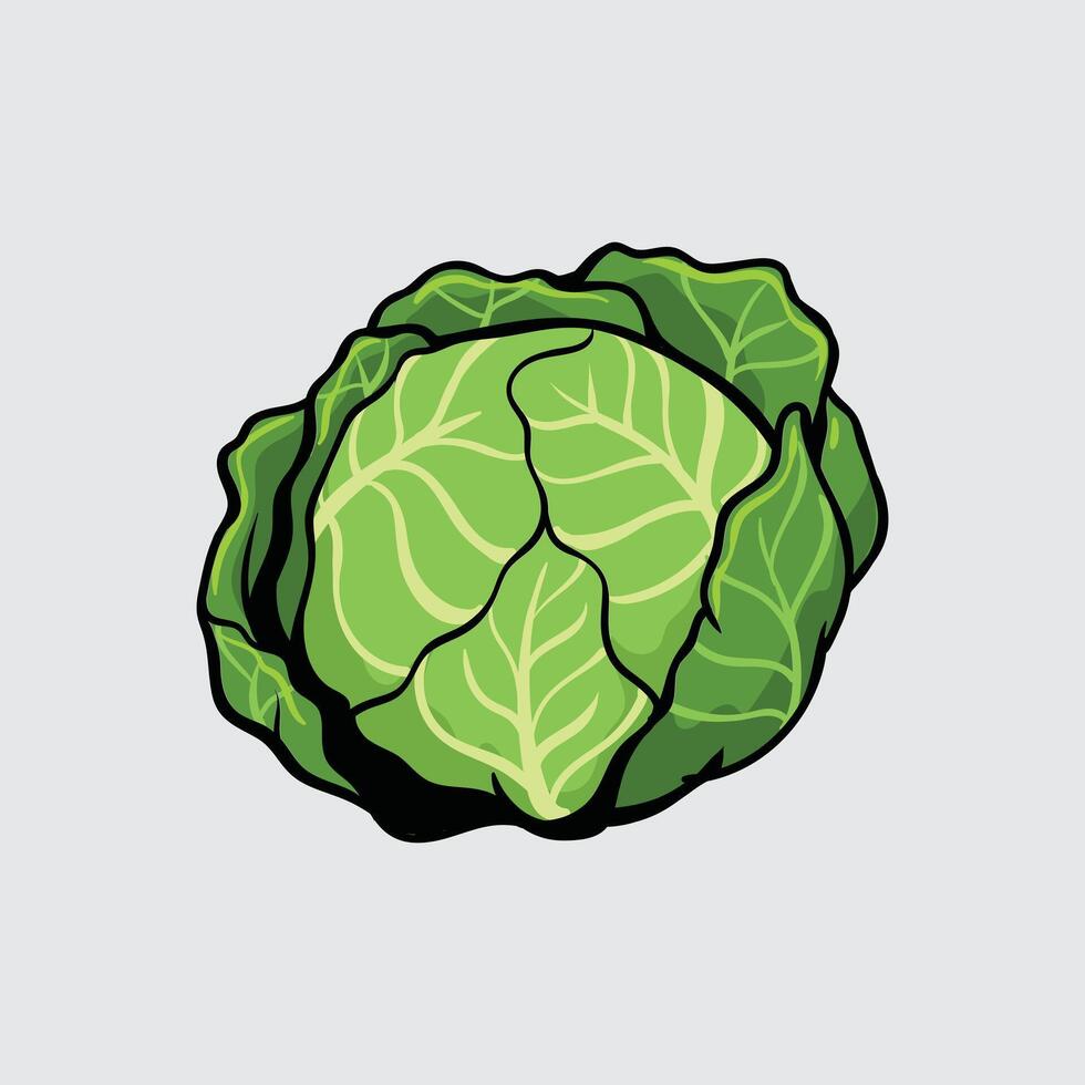 Cabbage vegetable Simple isolated cartoon illustration with a light background vector