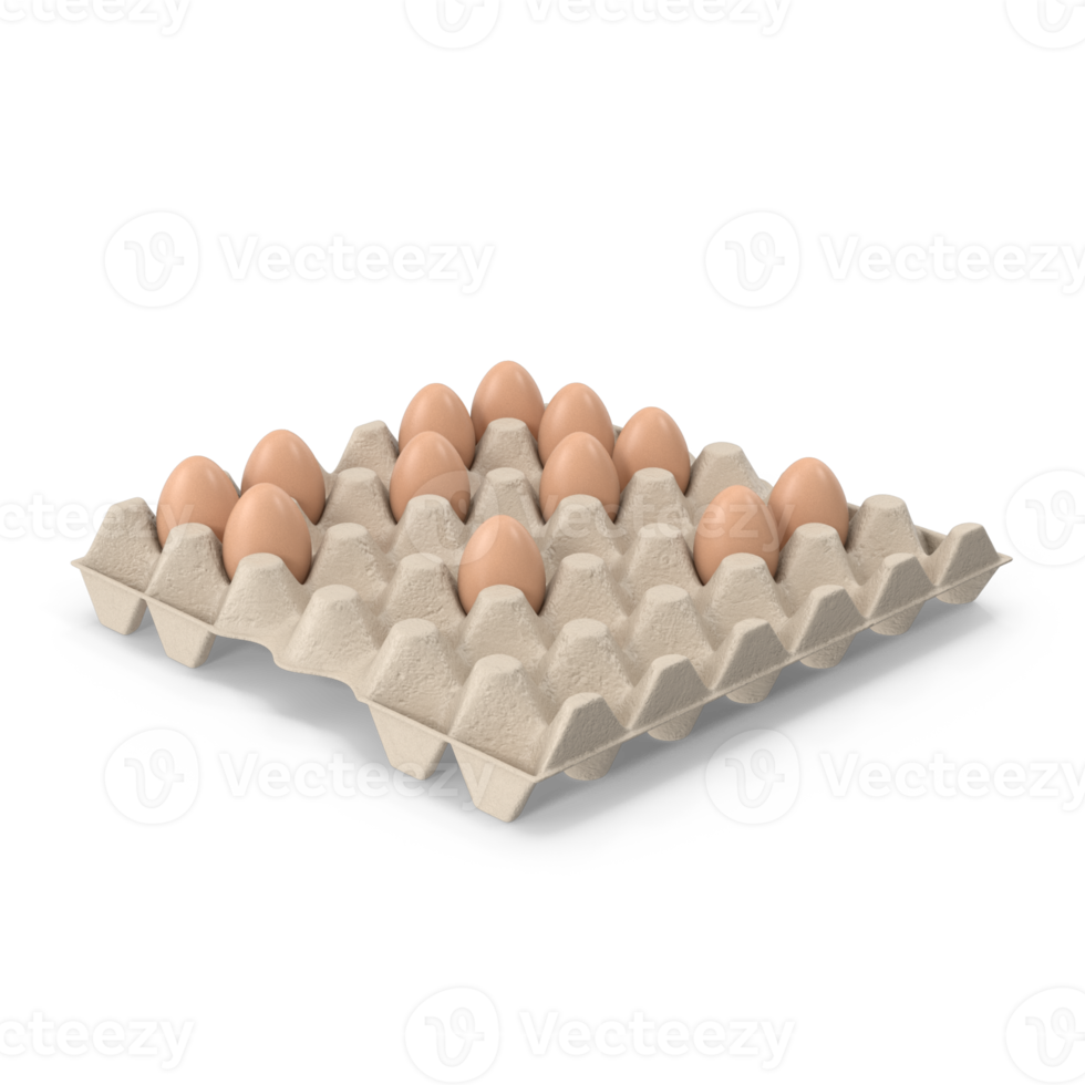 tray of eggs on transparent background png