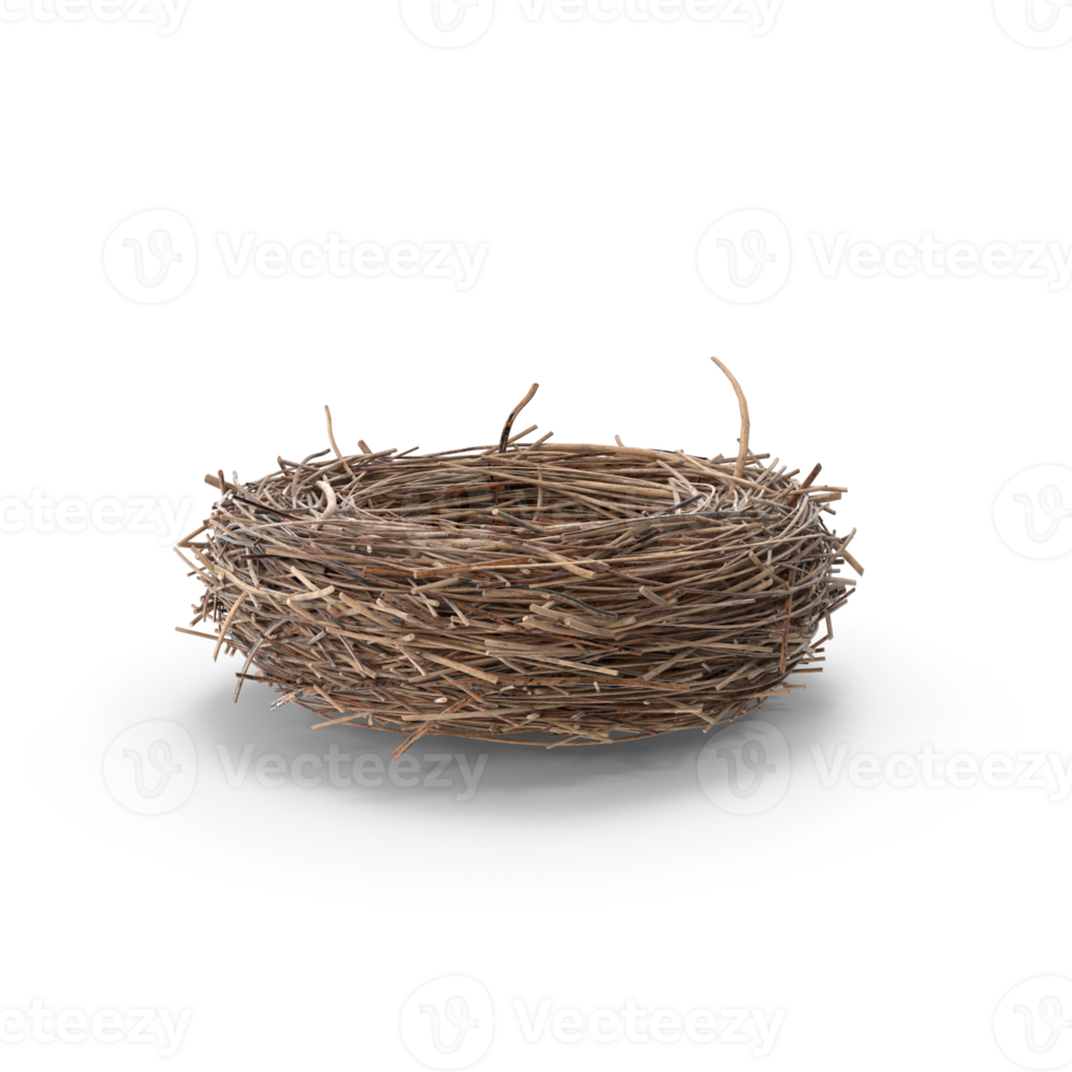 Empty Bird Nest on transparent background png