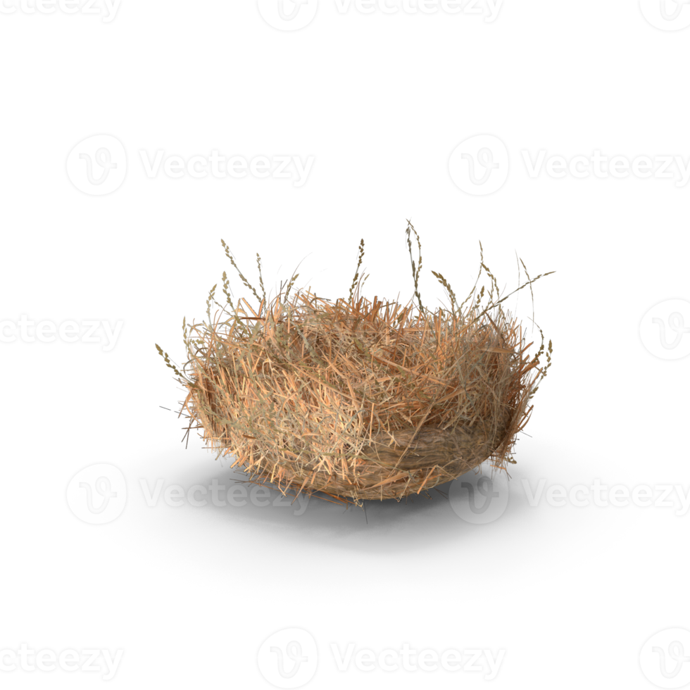 Empty Bird Nest on transparent background, png