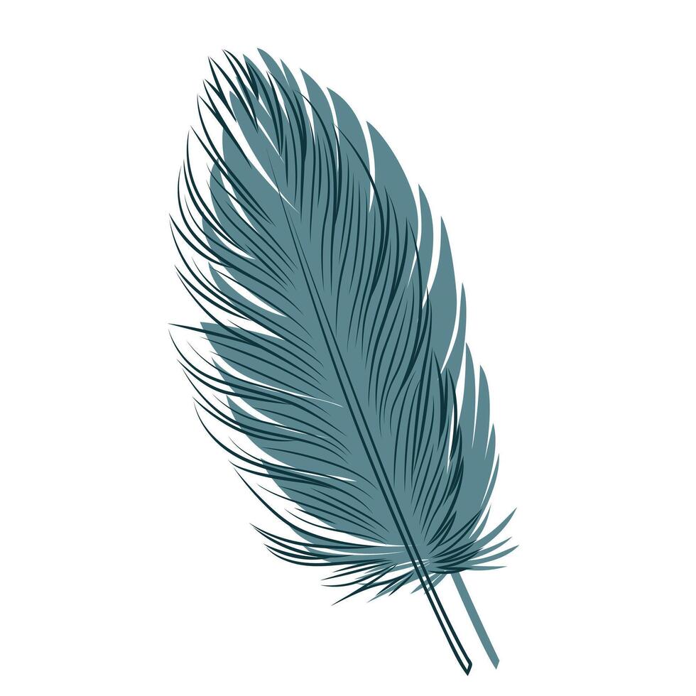 Stylized bird feather on a white background. vector