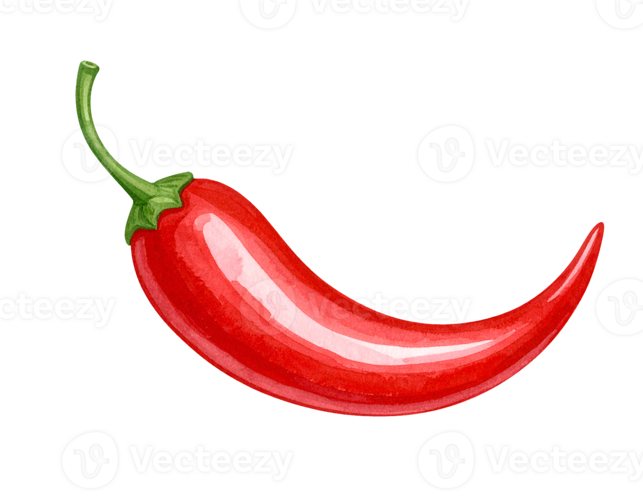 red chili pepper shaped ketchup splash watercolor food illustration on isolated background for spicy condiment design and culinary art png