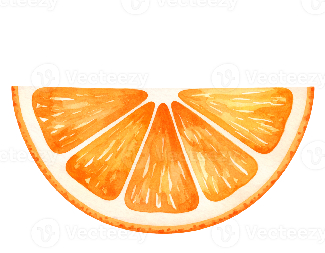 orange fruit segment illustration isolated background png