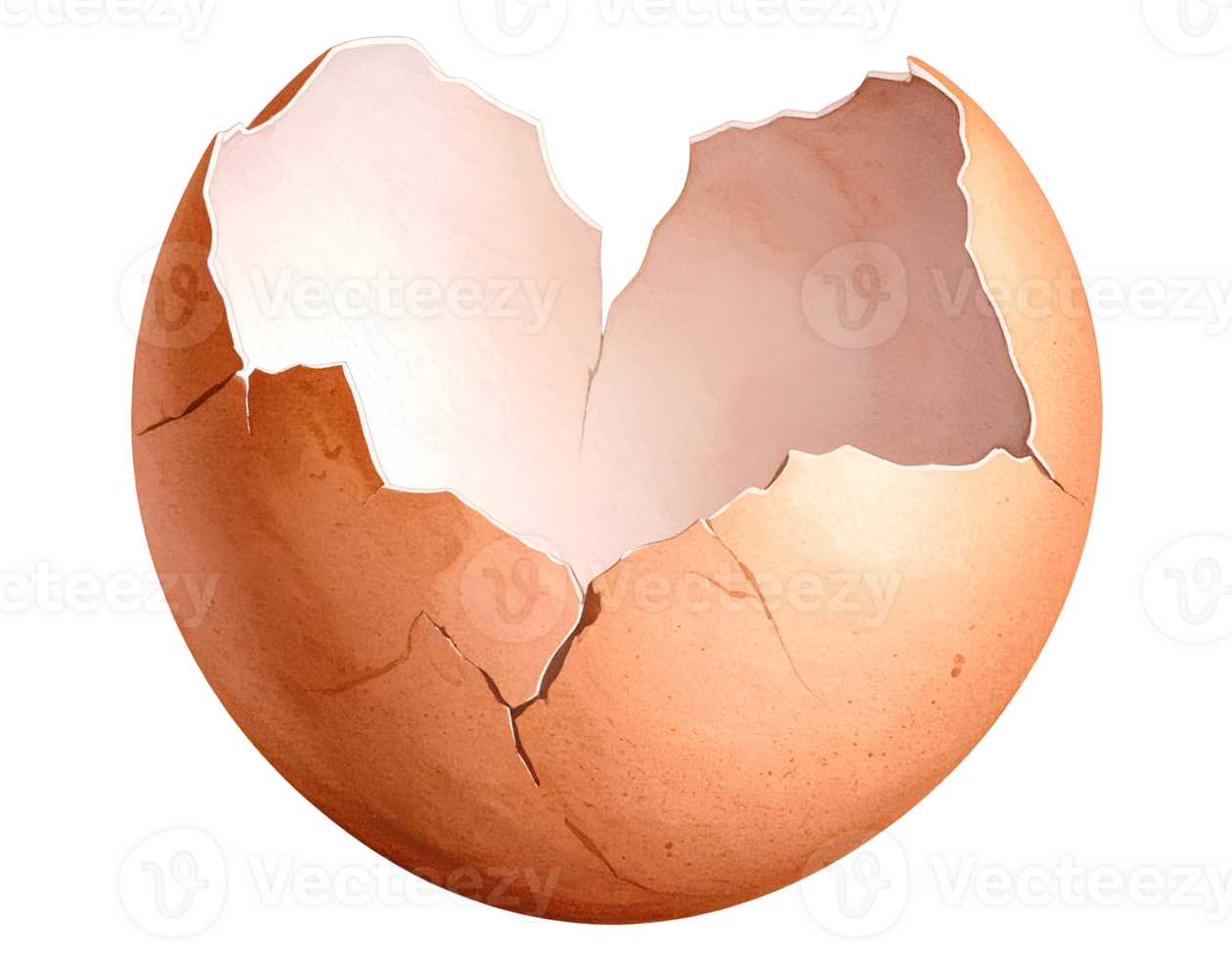 hand painted watercolor illustration of cracked raw egg shell with broken edges on isolated background for food ingredient, kitchen design, protein source, and cooking concept png