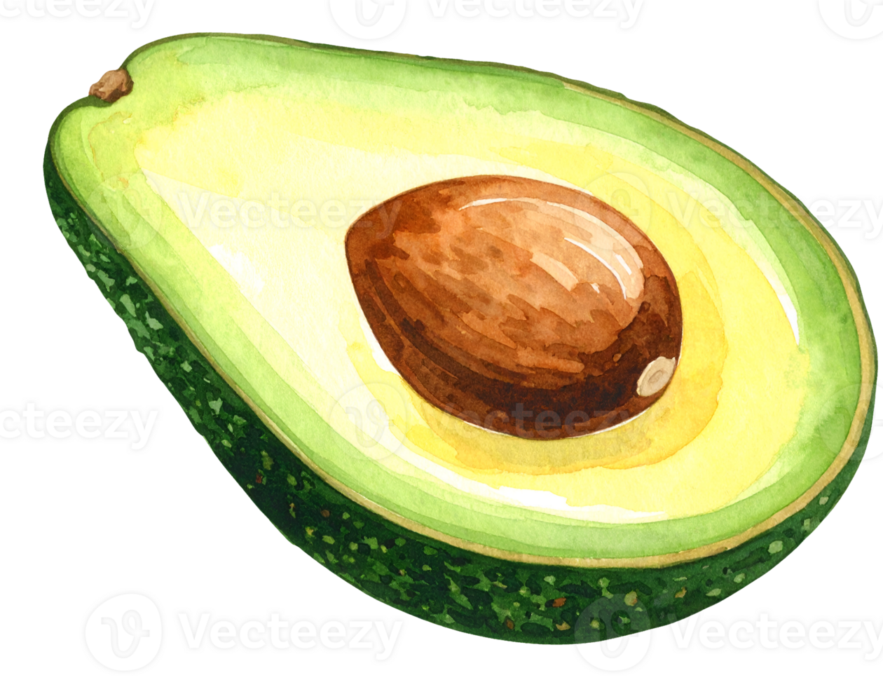 avocado half with exposed seed in watercolor style on isolated background for healthy food and organic product design png