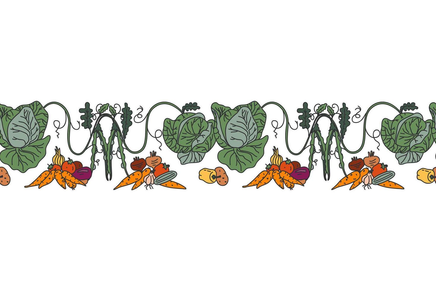 Botanical decorative different vegetables horizontal seamless pattern border isolated on white background. Hand drawn colorful veggies plants with Roots Stems Leaves illustration. Graphic design for vector