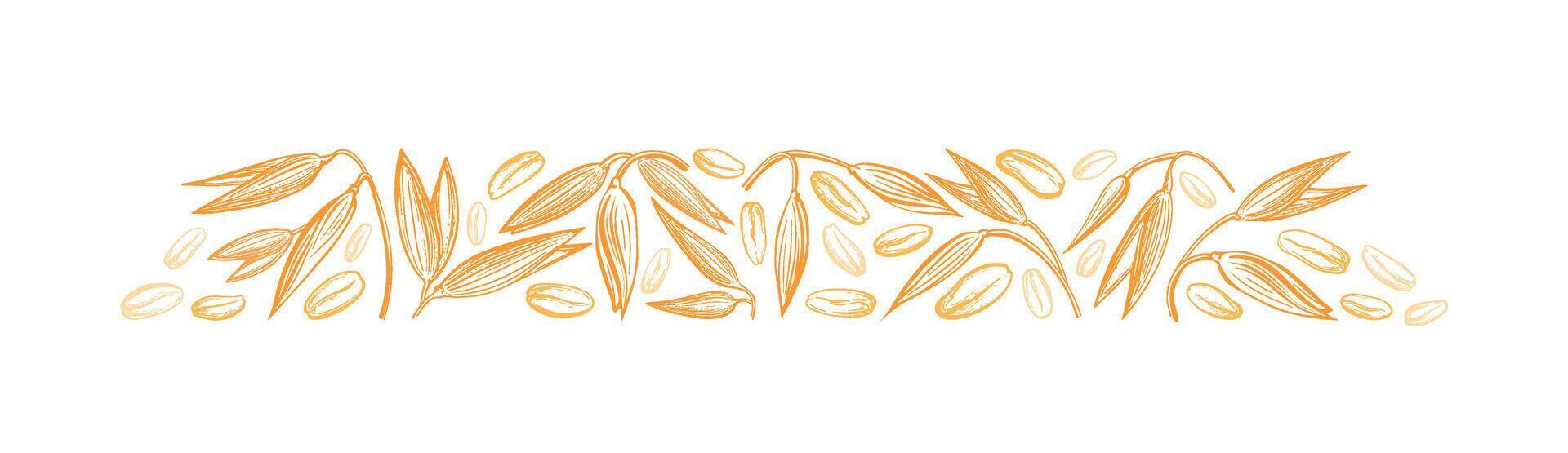 Oat spike, golden seed Wheat, spelt details sketch vector