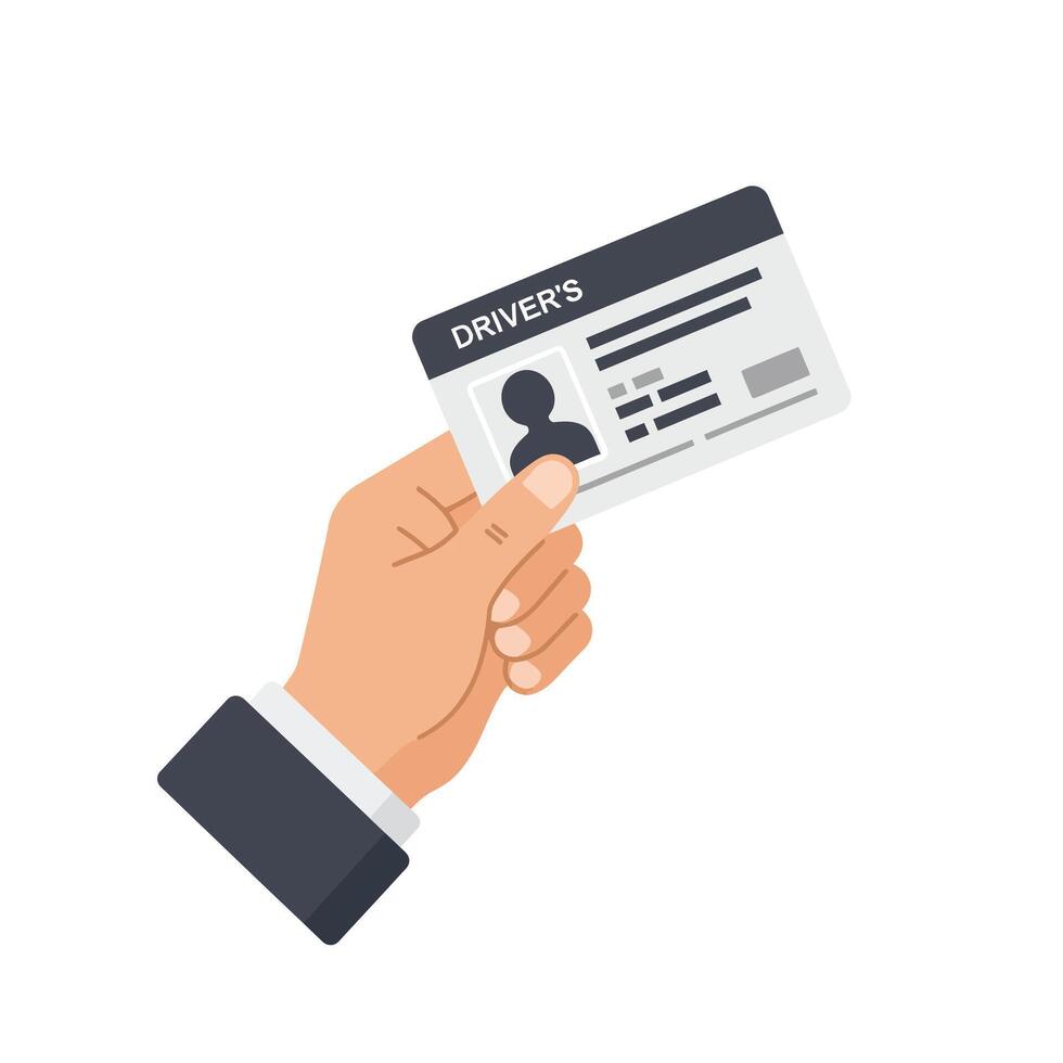 Hand holding driver license vector