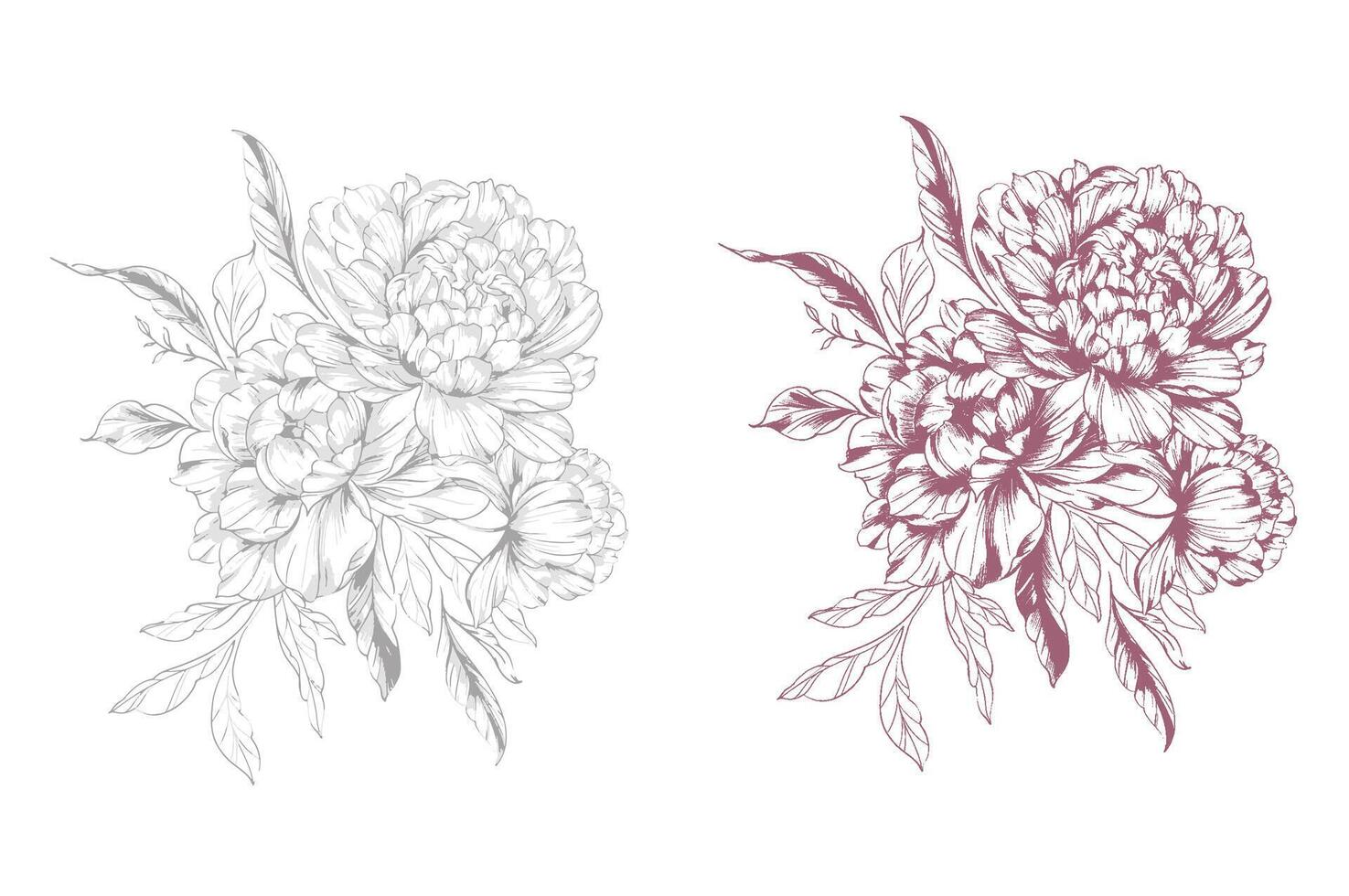 Peony Drawing. Trendy floral peony bouquets sketch. Botanical Line Art Peony Collection. Hand drawn line art peony flowers. Black and white peony vector